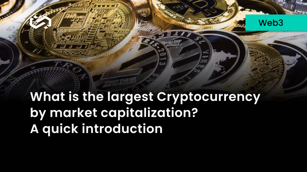 Introduction to Bitcoin- Largest Cryptocurrency by Market Cap?